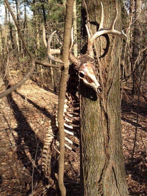 Никто не пришел на помощь