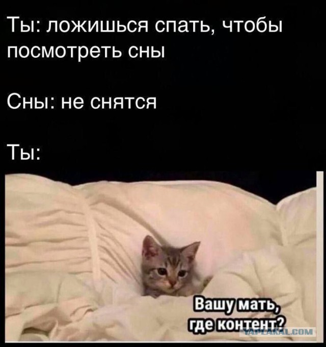 Картинки для деградации 47 (разной степени свежести)