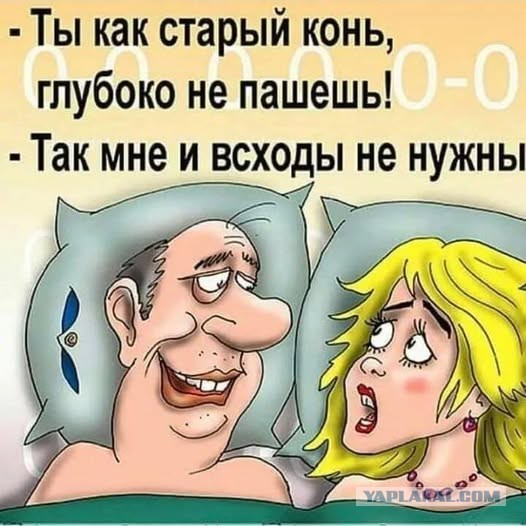 Веселое настроение в картинках (21.11.2025)