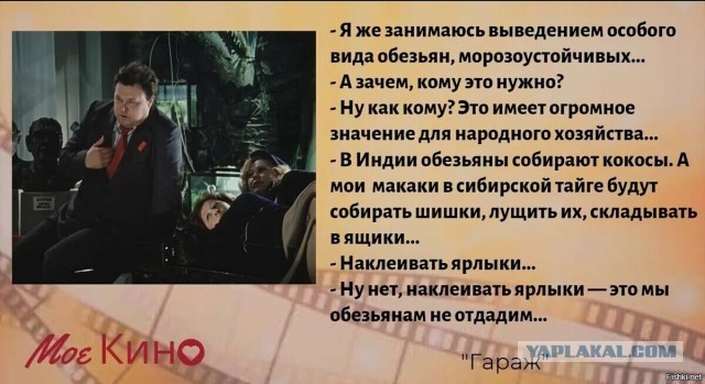 Густой подшерсток и запас жира