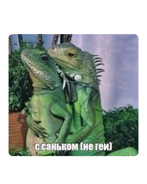 Подборка очень и не очень