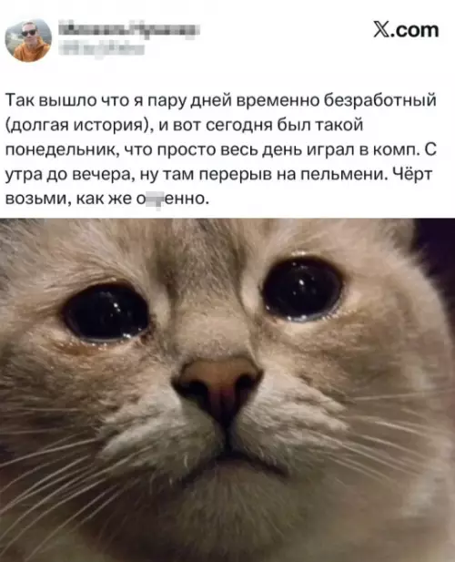 К котовторнику: подборка картинок-баянов с котиками и про котиков. Выпуск 31.