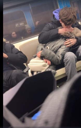 Деградация