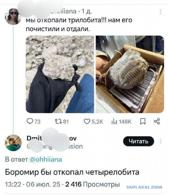 Чувак нашел булыжник