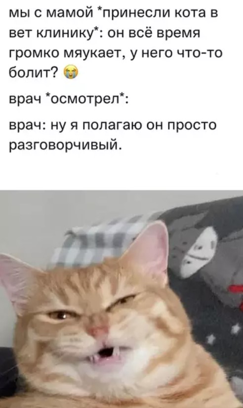 Пакет брать будете?