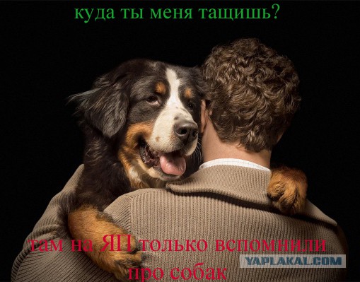 Тема для юмора