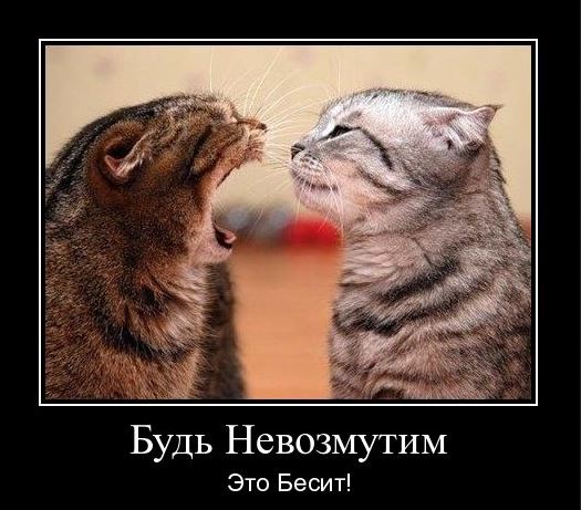 Гордый Макаревич устраивает концерт