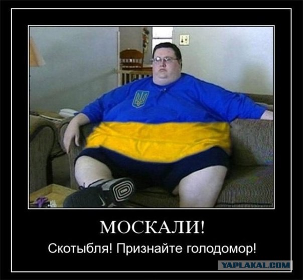 В Славянске удалось сбить Су-25!