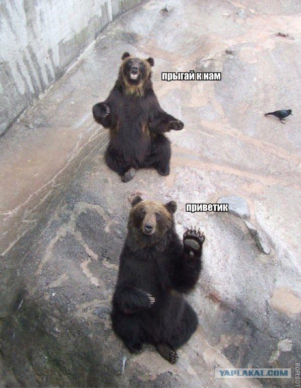 А как Вы воспитываете своего медведя?