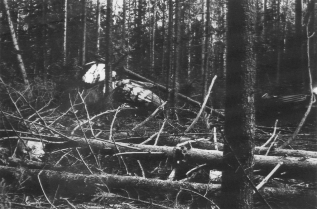 Сегодня мне 28