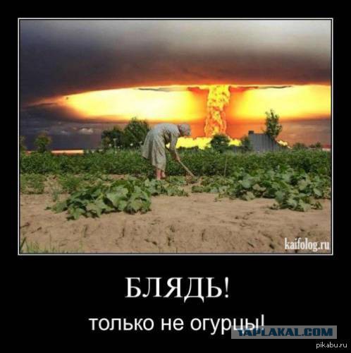 Демотиваторы.