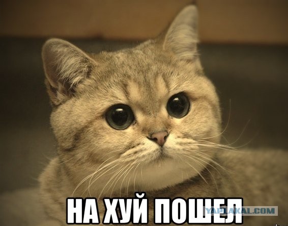 Неинтересные факты ч.2
