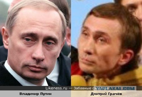 Двойники знаменитостей
