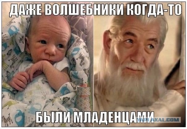 Весёлое из сети