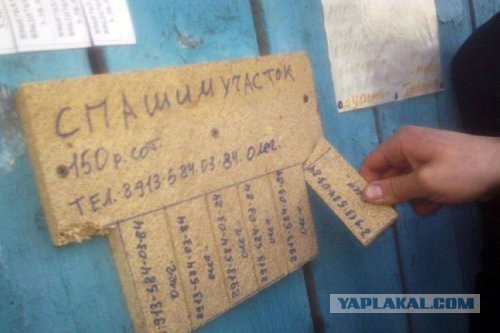 Веселые картинки