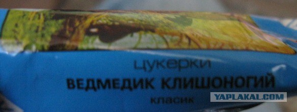 Шишкин явно не ожидал