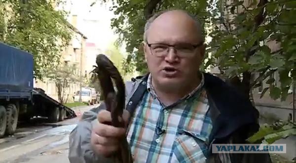 Перемирие кончилось, едва начавшись.