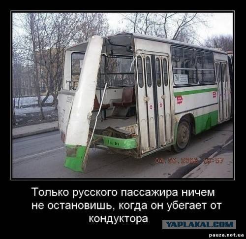 Просто картинки