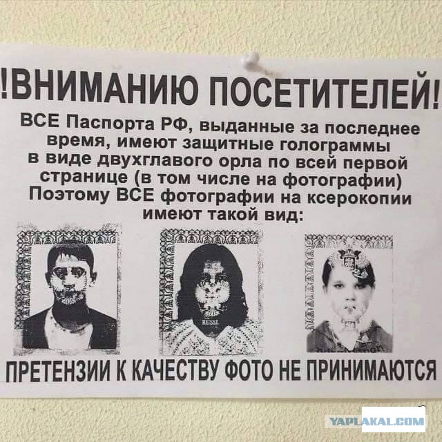 Прикольные картиночки