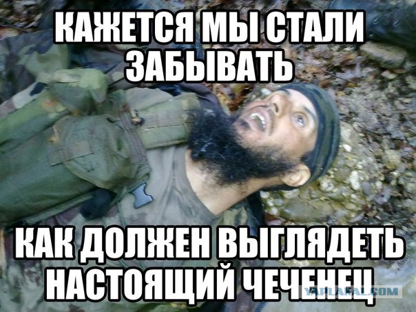 Чеченские смешные картинки про группу, про волков