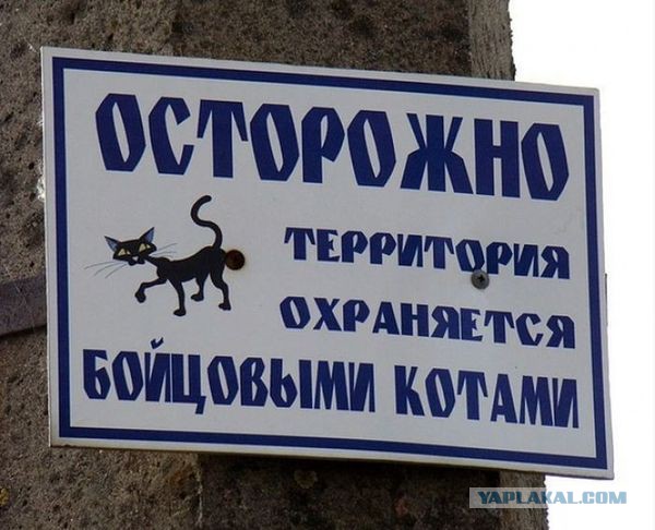 Прикольные объявления и надписи