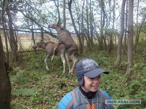 Ужасы из соц.сетей