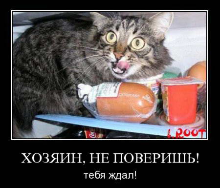 http://s00.yaplakal.com/pics/pics_original/9/8/3/6228389.jpg