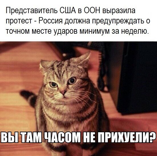 Картинки на пятницу