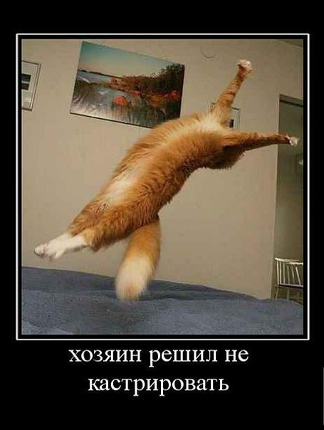 Немного картинок и демотиваторов