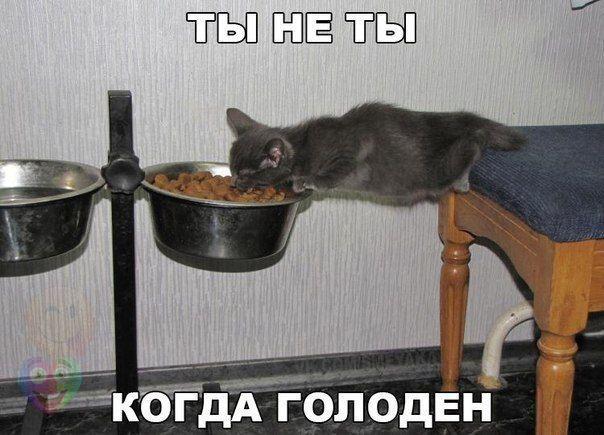 Картинки на пятницу
