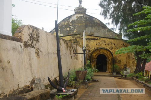 Самостоятельное путешествие в Шри-Ланку