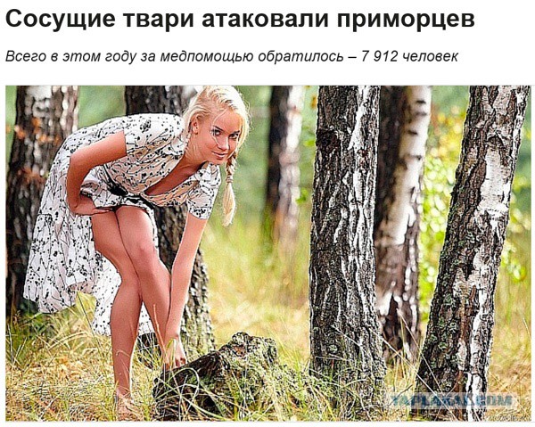 Картинки из вацапа
