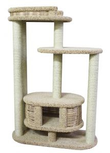 Мейн-куны  настолько  суровы...