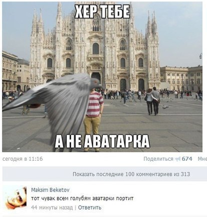 Ужасы и приколы из соцсетей 18+