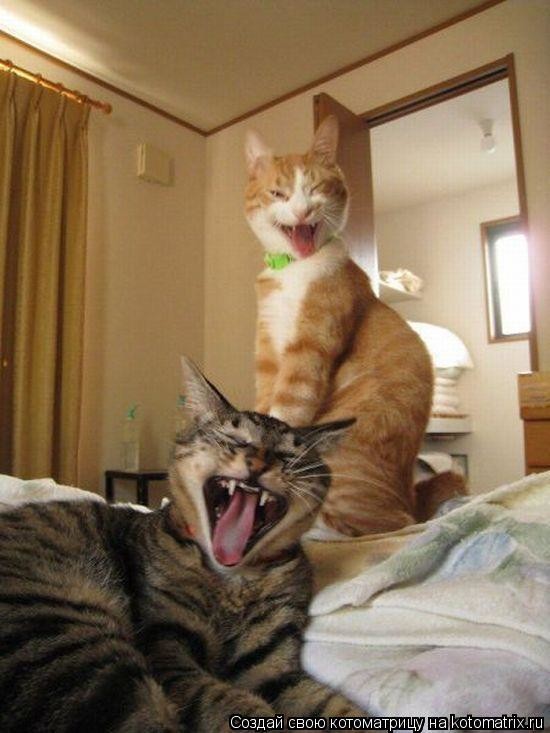 Подборка картинок 04.03.16