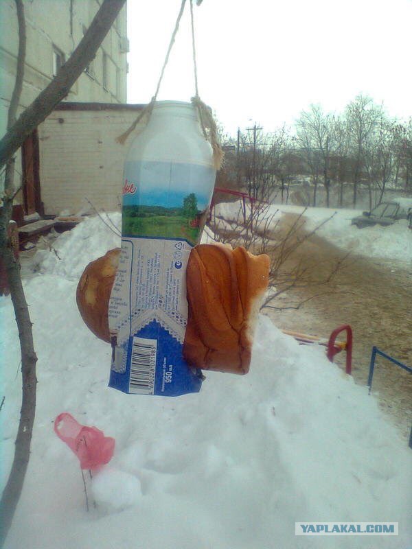 Интересные и веселые картинки