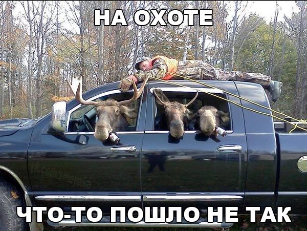 Подборка красивых и веселых картинок