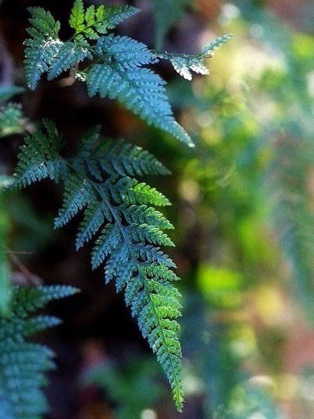 Интересные и веселые картинки