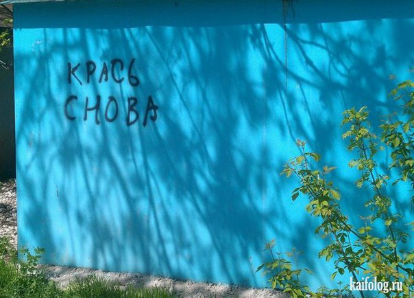 Комментарии и картинки из соцсетей