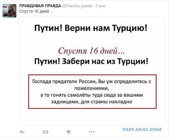Картинки из интернетов