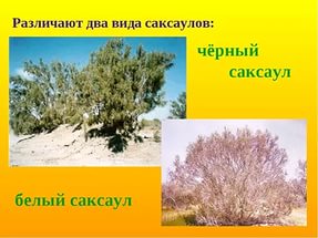 Про жалость и мудаков