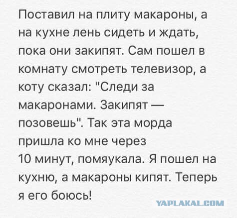 Картинки и приколы из сети