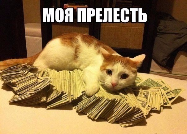 Картинки и гифки, дабы отвлечься