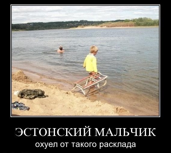 Утки оказались не готовы ко льду ...