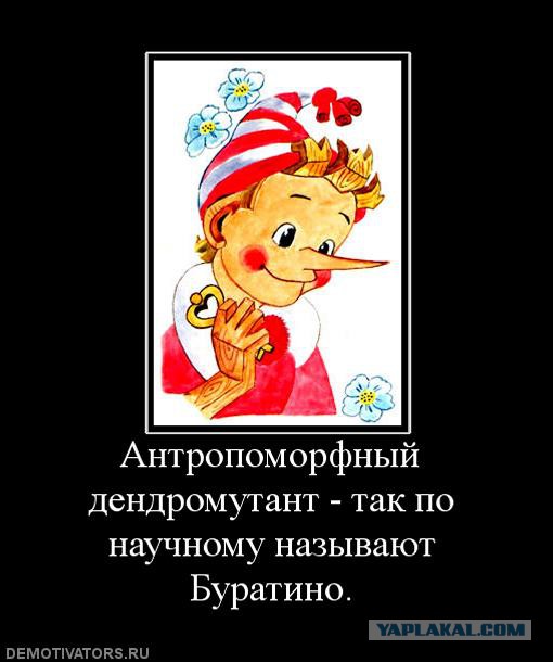Картинки со смыслом и без
