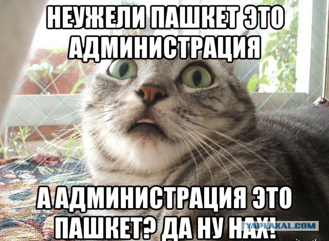 Сегодня я друзья записал новый видеоклип! (Пашкет)