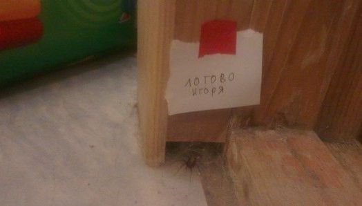 Центнер Идиотизма
