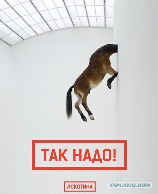 31 фото, после просмотра которых так и хочется воскликнуть: «Да что вы знаете о безысходности!»