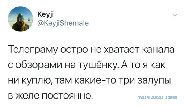 В работе сделай перерыв, пост с картинками открыв