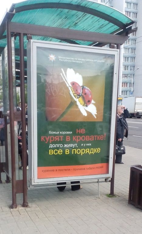 Прикольные картинки абавсём